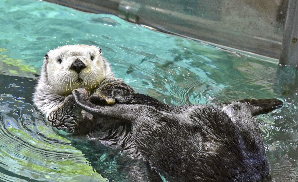 🐘 후쿠오카시 동물원/식물원 (후쿠오카시 도쇼쿠부쓰엔) 이미지 8